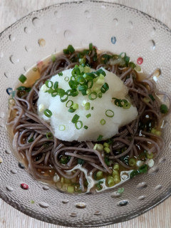 冷やしおろしそば-レシピのメイン写真