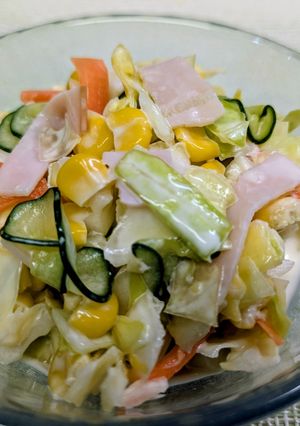 春キャベツでコールスローサラダ-レシピのメイン写真