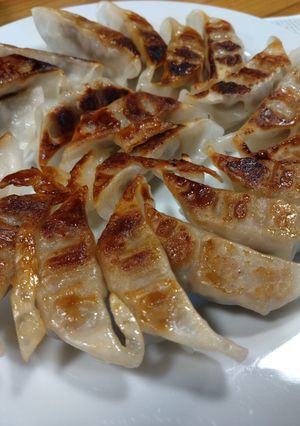 もちもち餃子-レシピのメイン写真