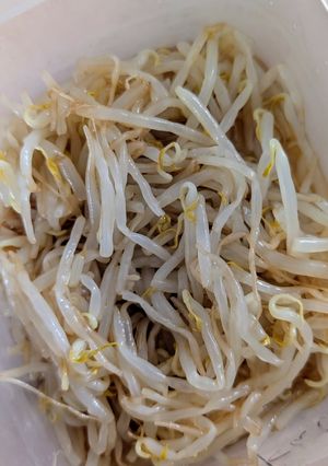 とっても簡単★茹でもやしのゴマポン和え-レシピのメイン写真