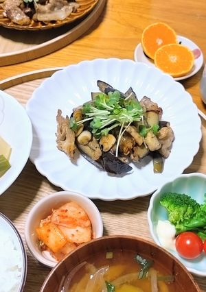 豚バラ茄子のガーリック醤油炒め-レシピのメイン写真