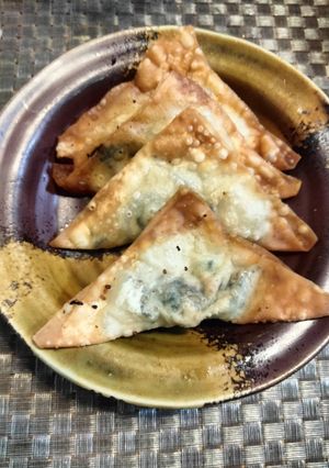 鉄分強化揚げワンタン-レシピのメイン写真
