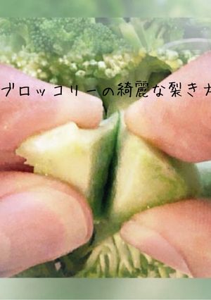 ブロッコリーの綺麗な裂き方-レシピのメイン写真