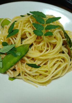 バター明太子スパに木の芽乗せ-レシピのメイン写真