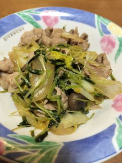 豚肉と白菜、豆苗の炒め物-レシピのメイン写真