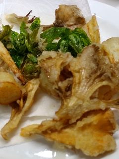 春野菜の天ぷら うど 舞茸 ふきのとう-レシピのメイン写真