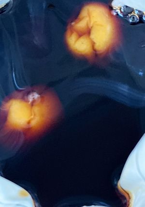 簡単入れて待つだけ梅醤油-レシピのメイン写真