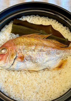 土鍋で鯛めし-レシピのメイン写真