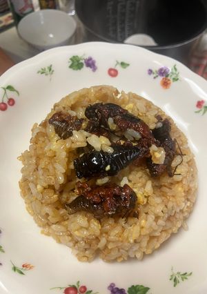セミの炒飯-レシピのメイン写真