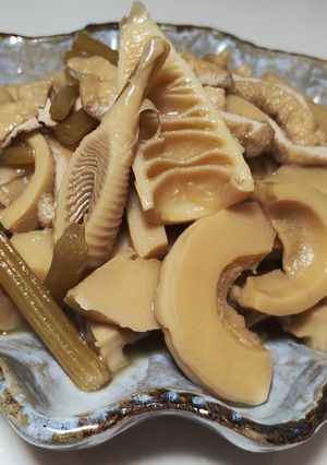 黄金比で作るたけのことふきの煮物-レシピのメイン写真