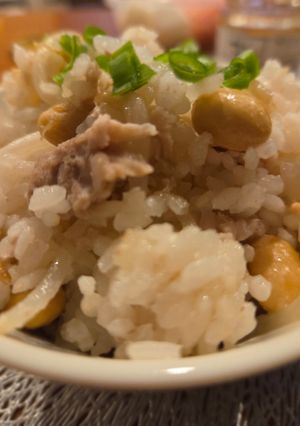 豚肉と大豆ともやしの炊き込みごはん-レシピのメイン写真
