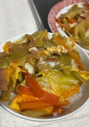 麺じゃないご飯もの！沖縄ちゃんぽん-レシピのメイン写真