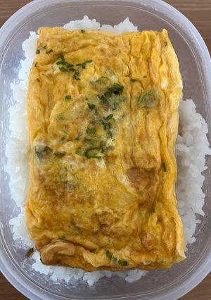 玉子焼き丼弁当-レシピのメイン写真