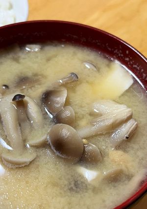 しめじと豆腐の味噌汁-レシピのメイン写真