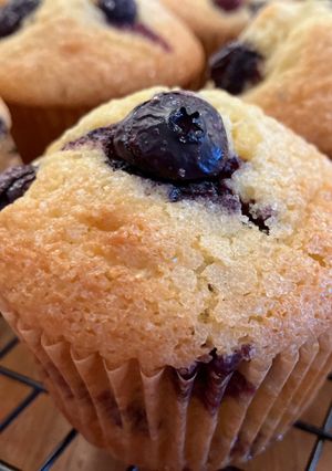 Blueberry Muffins-レシピのメイン写真