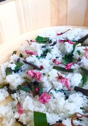 うれしい桜ごはん-レシピのメイン写真