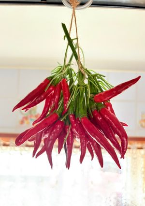 赤唐辛子🌶️は、排水口ネットde冷蔵庫乾燥が1番❣️-レシピのメイン写真