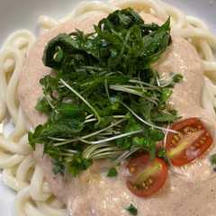 A picture of クリーミー豆腐明太うどん.