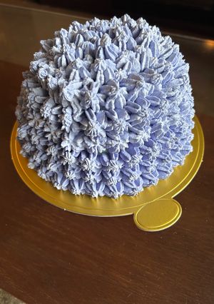 紫陽花ズコットケーキ-レシピのメイン写真