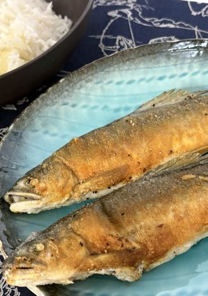 鮎の塩焼き-レシピのメイン写真