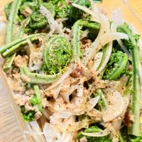 基本からアレンジまで！思わずつくりたくなる「こごみ」のレシピ集