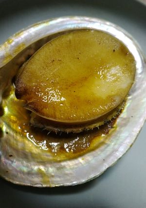 翡翠アワビの醤油焼き-レシピのメイン写真