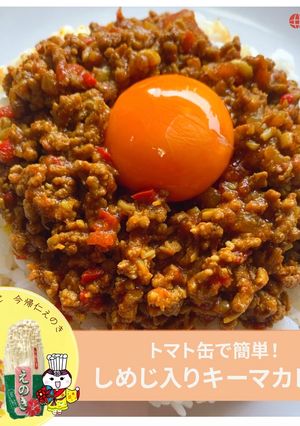 トマト缶で簡単!キーマカレー-レシピのメイン写真