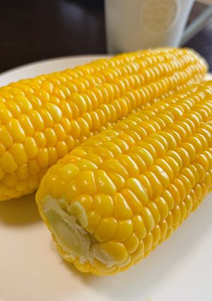 皮ごと蒸す♪極旨ジューシーとうもろこし-レシピのメイン写真