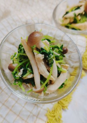 ささみと豆苗のナムル-レシピのメイン写真