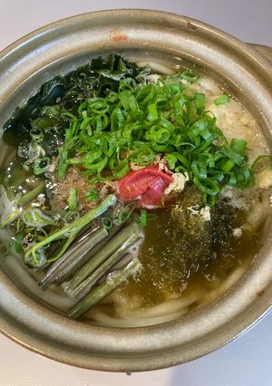 さっぱり山菜・梅うどん-レシピのメイン写真