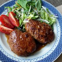 基本からアレンジまで！思わずつくりたくなる「とりひき肉 少し」の 