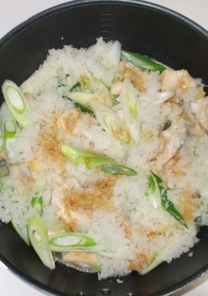 鶏むね肉のみぞれ煮♪簡単レシピ大根で消化-レシピのメイン写真