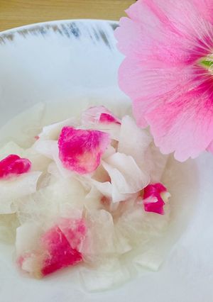 タチアオイと大根の酢の物-レシピのメイン写真