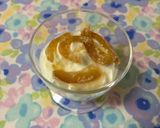 ドライフルーツと蜂蜜でヨーグルトを作り方10写真