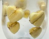 恋する💕濃厚チョコバナナフラペチーノ🍫🍌作り方1写真