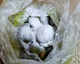 ★抹茶ココナッツおからアーモンドボール♪作り方9写真
