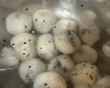 湯円 (Tangyuan、タンユェン)作り方7写真