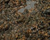 しそジュース作ったら佃煮(ふりかけ)作り方4写真