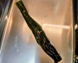 48時間冷凍して作る〆鯖作り方4写真