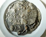 黒ごまタコス作り方5写真