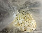 鶏むね肉♡しっとり塩麹蒸し焼き作り方3写真