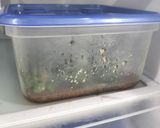 ししとうの焼きびたし作り方6写真