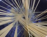 激うま！♫焼銀鮭のクリームスパゲティ♫作り方4写真
