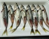 小アジの南蛮漬け作り方5写真