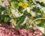 5分かからないただのっけていくだけ餃子作り方3写真