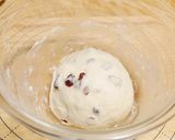 【発酵種】ヨーグルト種クランベリーパン作り方9写真