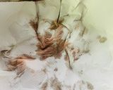 私の レバニラ作り方2写真