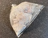 醤油から揚げ♡*(写真付き)作り方10写真
