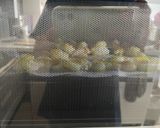 パイシートでクロワッサン🥐作り方7写真