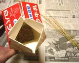 コーヒーの葉を使って炊いたバケツ稲作り方2写真